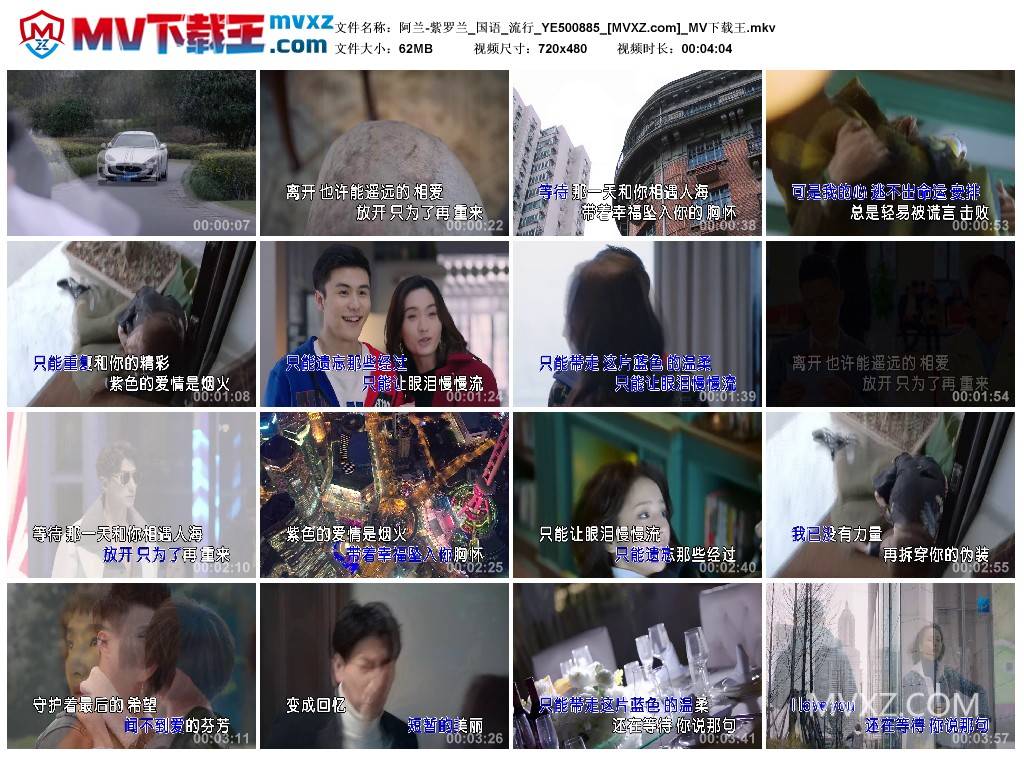 阿兰-紫罗兰_国语_流行_YE500885